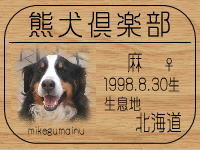 �Ԃ��a������̂g�o�ւf�n�I